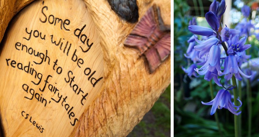 Nugent's Wood carved feature and bluebells